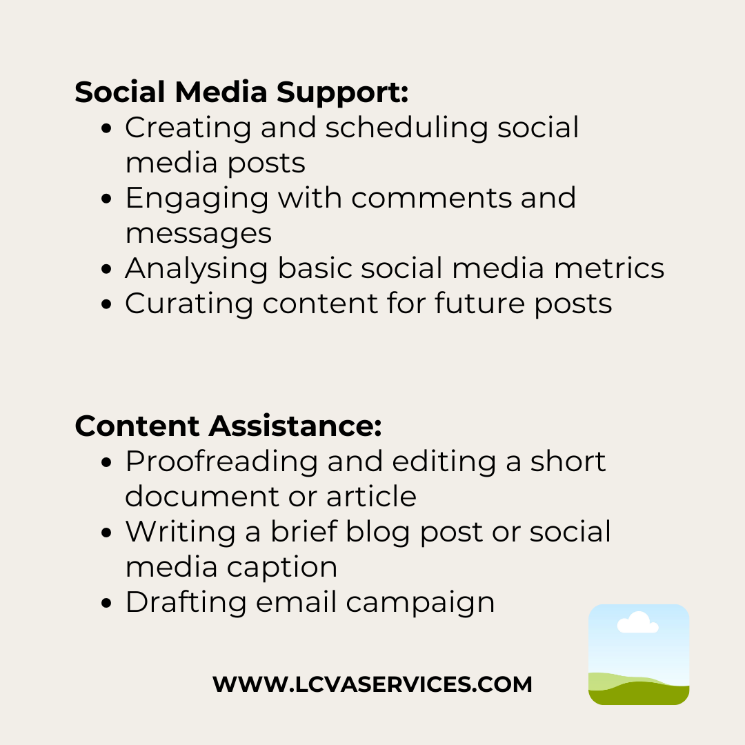 1-hour of virtual assistant support